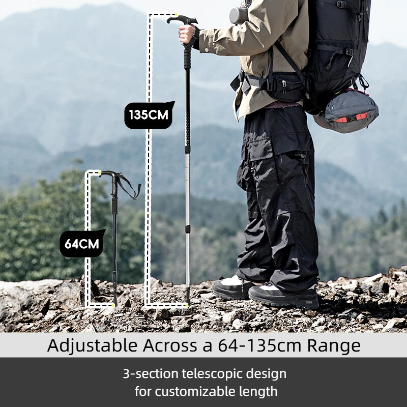 BISINNA 2PCS T Handle Walking  - Trekking Pole Carbon review and price